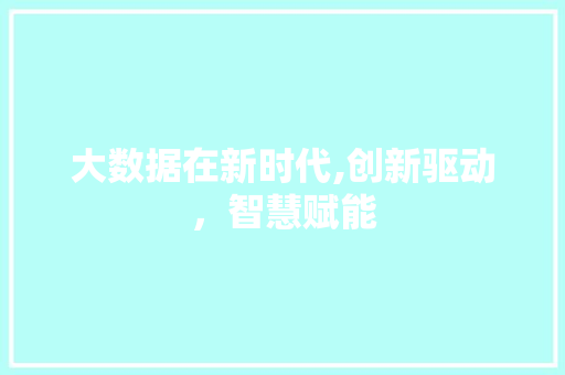 大数据在新时代,创新驱动，智慧赋能