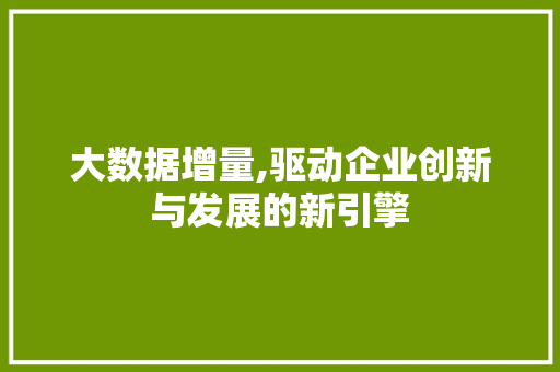 大数据增量,驱动企业创新与发展的新引擎