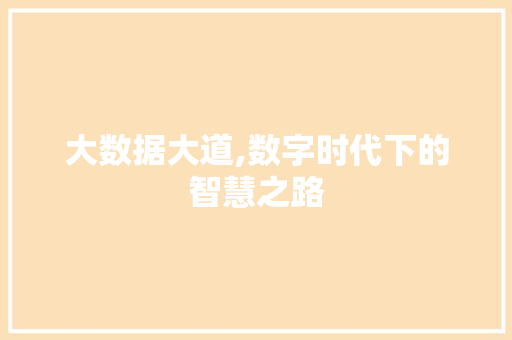大数据大道,数字时代下的智慧之路