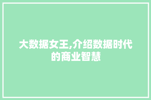 大数据女王,介绍数据时代的商业智慧