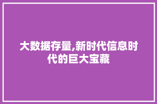 大数据存量,新时代信息时代的巨大宝藏