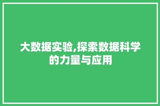 大数据实验,探索数据科学的力量与应用