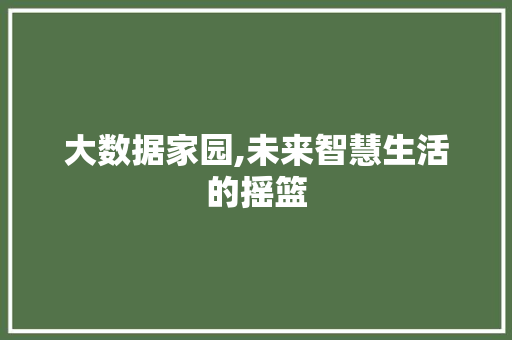 大数据家园,未来智慧生活的摇篮