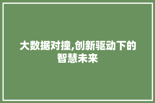 大数据对撞,创新驱动下的智慧未来