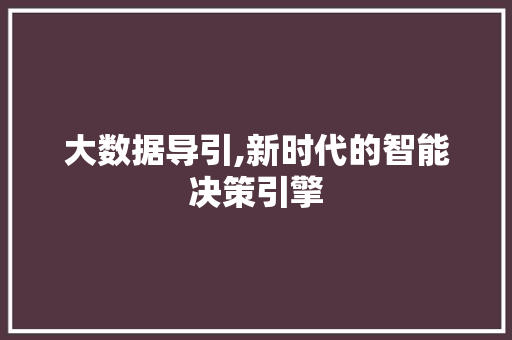 大数据导引,新时代的智能决策引擎