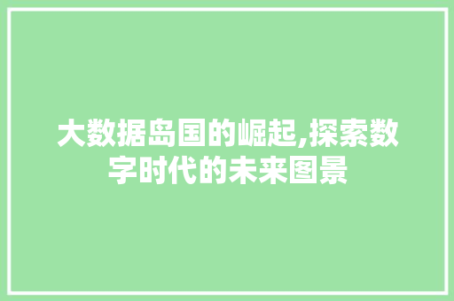大数据岛国的崛起,探索数字时代的未来图景