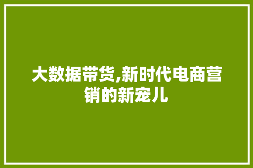 大数据带货,新时代电商营销的新宠儿