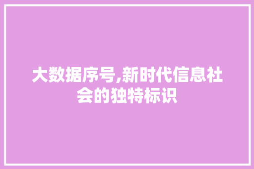 大数据序号,新时代信息社会的独特标识