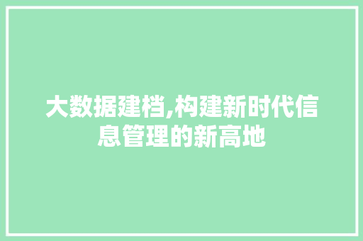 大数据建档,构建新时代信息管理的新高地