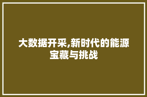 大数据开采,新时代的能源宝藏与挑战