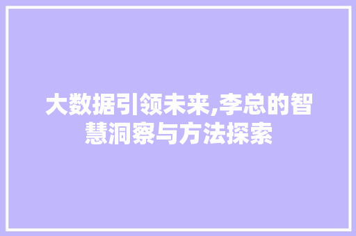 大数据引领未来,李总的智慧洞察与方法探索