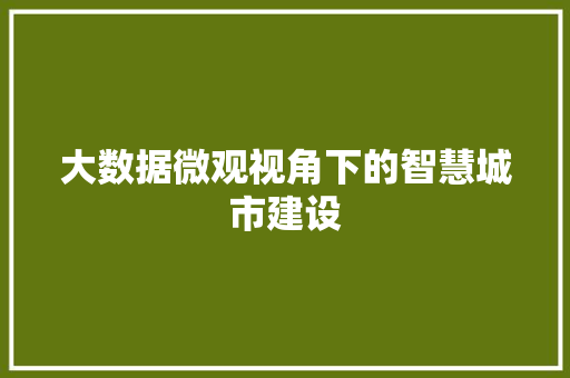 大数据微观视角下的智慧城市建设