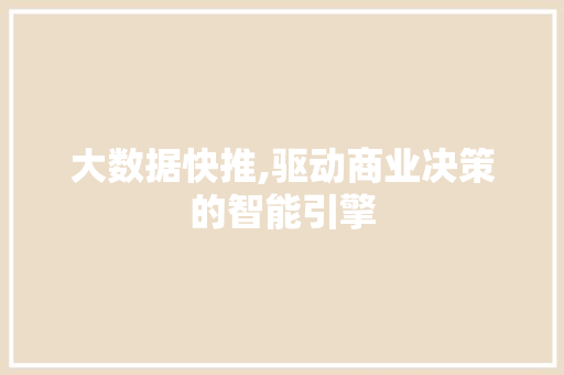大数据快推,驱动商业决策的智能引擎