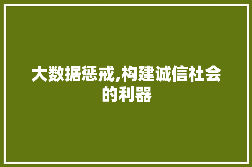 大数据惩戒,构建诚信社会的利器