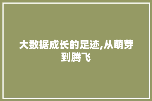 大数据成长的足迹,从萌芽到腾飞