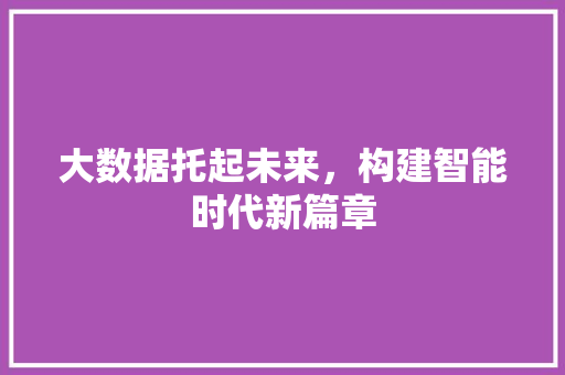 大数据托起未来，构建智能时代新篇章