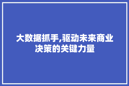 大数据抓手,驱动未来商业决策的关键力量