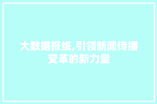 大数据报纸,引领新闻传播变革的新力量