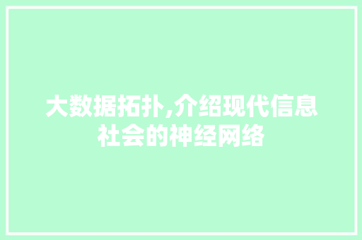 大数据拓扑,介绍现代信息社会的神经网络