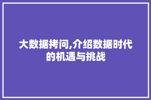 大数据拷问,介绍数据时代的机遇与挑战