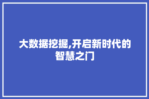 大数据挖掘,开启新时代的智慧之门