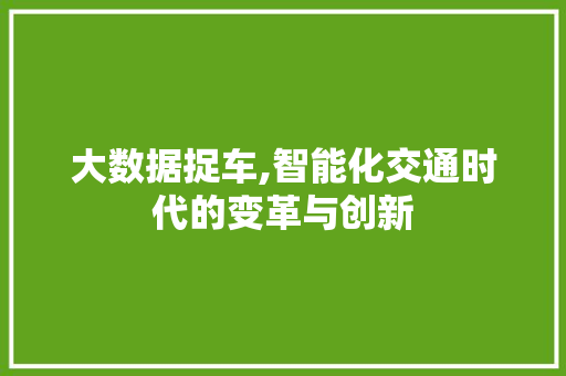 大数据捉车,智能化交通时代的变革与创新