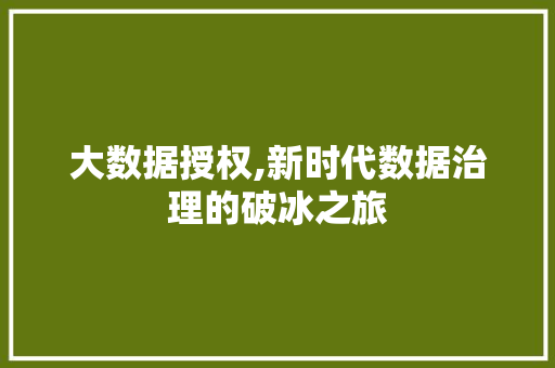 大数据授权,新时代数据治理的破冰之旅