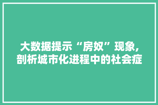 大数据提示“房奴”现象,剖析城市化进程中的社会症结