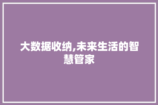 大数据收纳,未来生活的智慧管家