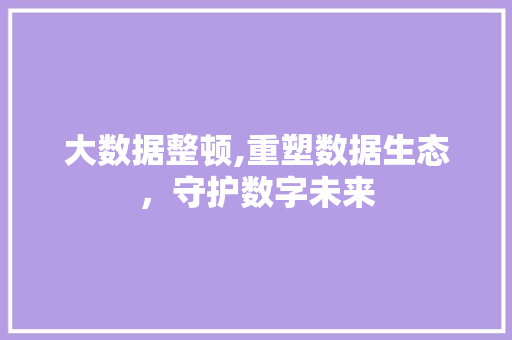 大数据整顿,重塑数据生态，守护数字未来