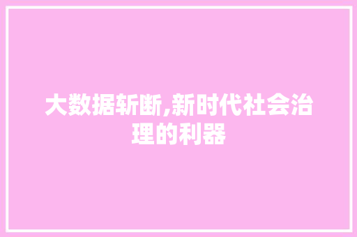 大数据斩断,新时代社会治理的利器