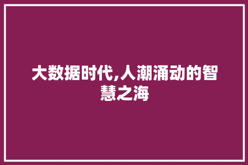 大数据时代,人潮涌动的智慧之海