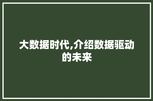 大数据时代,介绍数据驱动的未来