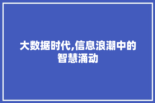 大数据时代,信息浪潮中的智慧涌动