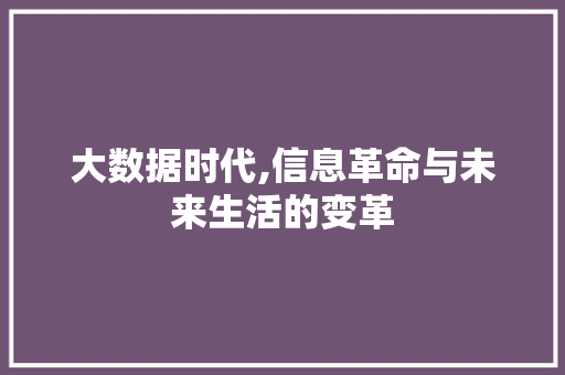 大数据时代,信息革命与未来生活的变革