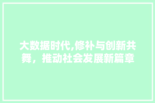 大数据时代,修补与创新共舞，推动社会发展新篇章
