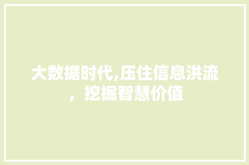大数据时代,压住信息洪流，挖掘智慧价值