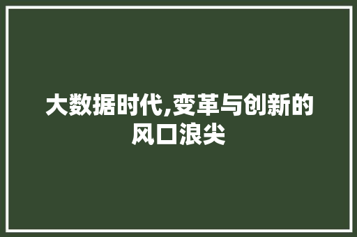 大数据时代,变革与创新的风口浪尖