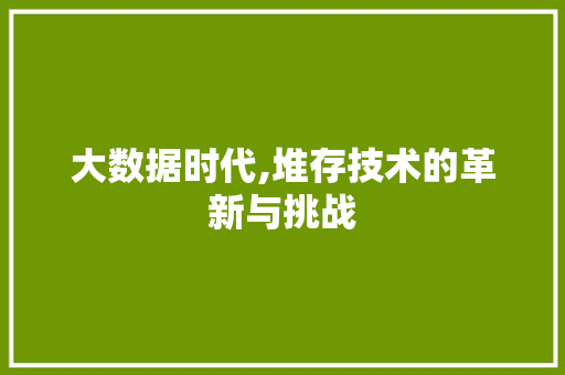 大数据时代,堆存技术的革新与挑战