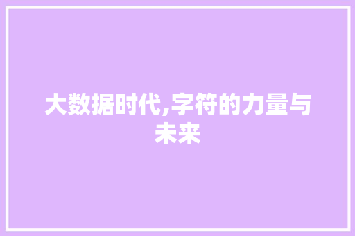 大数据时代,字符的力量与未来