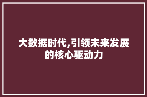 大数据时代,引领未来发展的核心驱动力