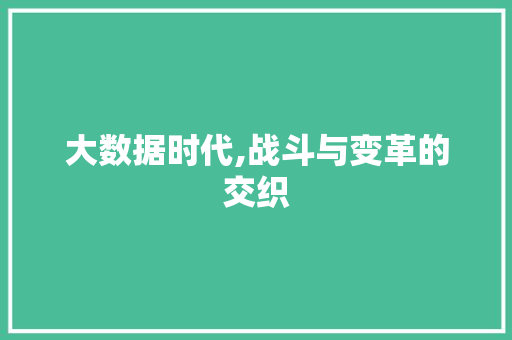 大数据时代,战斗与变革的交织