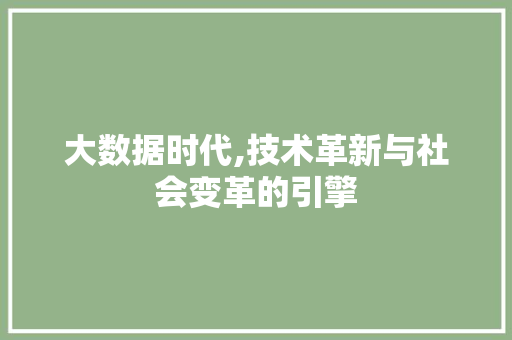 大数据时代,技术革新与社会变革的引擎