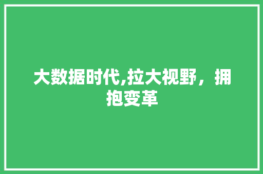 大数据时代,拉大视野，拥抱变革