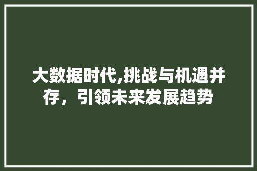 大数据时代,挑战与机遇并存，引领未来发展趋势