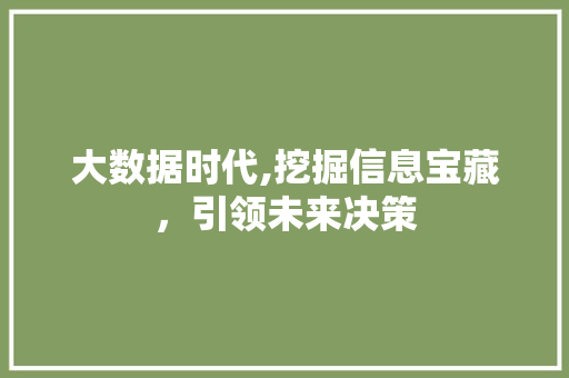 大数据时代,挖掘信息宝藏，引领未来决策