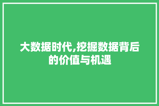 大数据时代,挖掘数据背后的价值与机遇