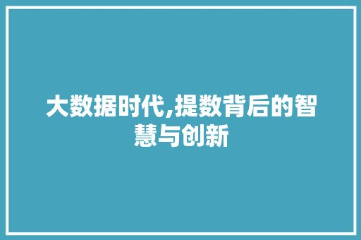 大数据时代,提数背后的智慧与创新