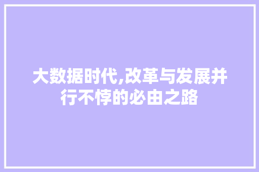大数据时代,改革与发展并行不悖的必由之路
