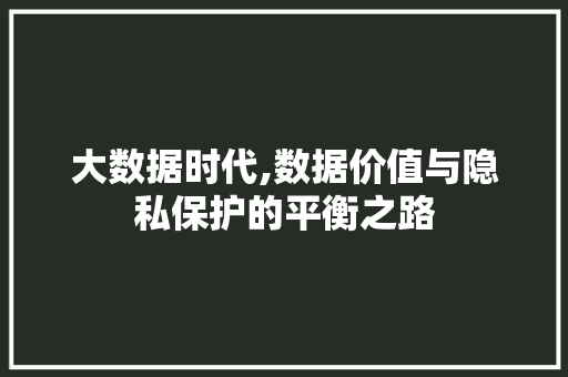 大数据时代,数据价值与隐私保护的平衡之路